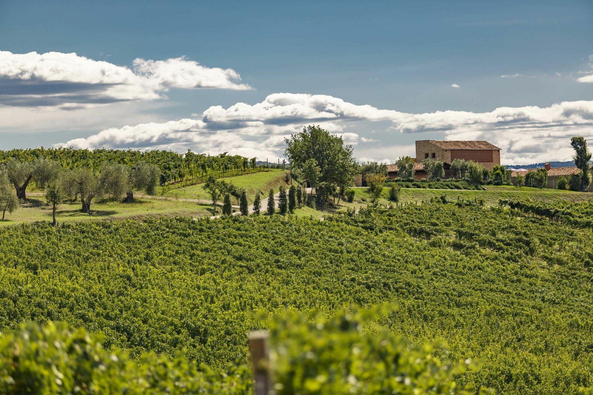 فيلا Pecora Vecchia - Collemassari Hospitality Cinigiano المظهر الخارجي الصورة